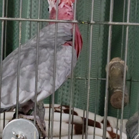 スイッチONの画像