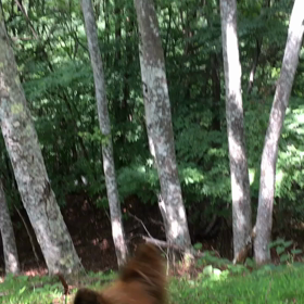 シェリィ       お赤飯だの画像