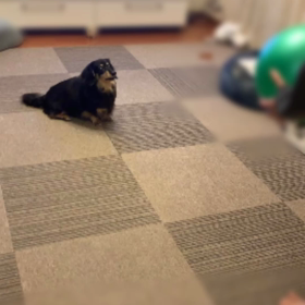 リビングdeボール遊び⚾︎の画像