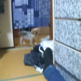 個人情報の漏洩お断りの画像