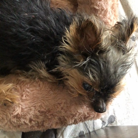 舐める〜弱音吐かない！の画像