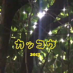 夏に向かって。。。カッコウの画像