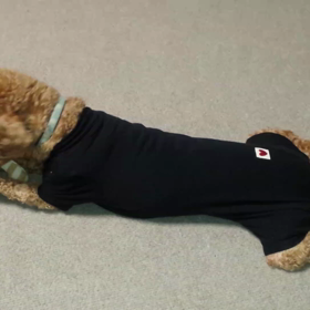 久しぶりの再会☆の画像