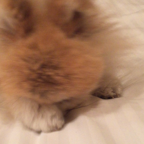 動画テストの画像