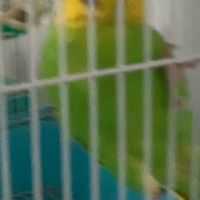 気になる言葉！の画像