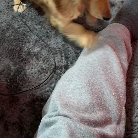 今日のバナナさんの画像