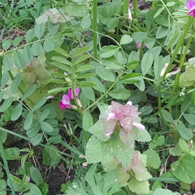 2014年の私が(^-^)の画像