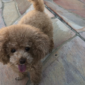 ひさしぶりのお外の画像