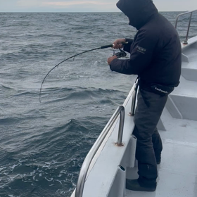 やらかしです…の画像