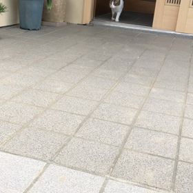 コロナ離婚回避で実家へ帰ったらいけなかったのかなぁ？の画像