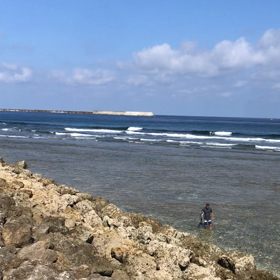 西洲波情報❗️《9/19》の画像