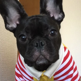 ハロウィンを楽しむ⑨の画像