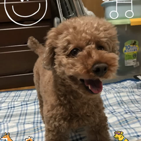 ＼ 新年の書き初め ／の画像