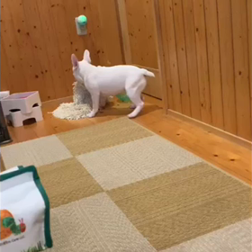 イライラ。の画像