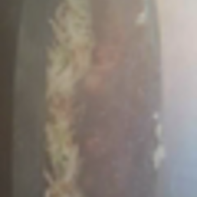 矢場とんの鉄板とんかつの画像