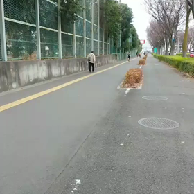 多摩湖駅伝選考会(ロード)ゴール①の画像