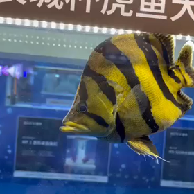guangzhouの画像