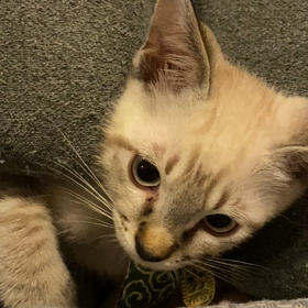 戻ってく姿が♡の画像