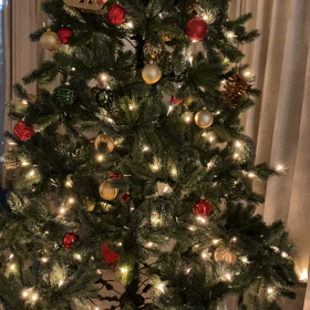 クリスマスツリー　動画撮りましたの画像