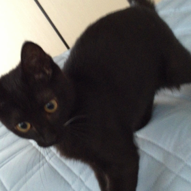 グルグル好きの画像