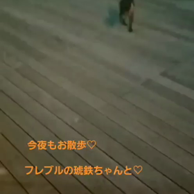 夜さんぽの画像