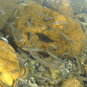 オッケーィ✨✨✨の画像