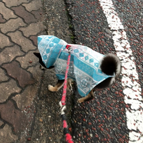 骨のケガの痛みの画像