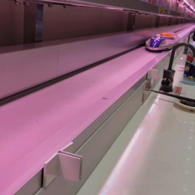 元氣壽司の画像