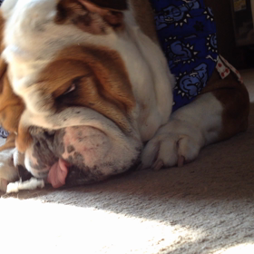 かずちゃん、ぺっ！の画像