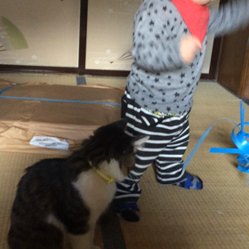 子猫と赤ちゃん♡♡の画像