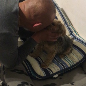 本当バカ   笑っの画像