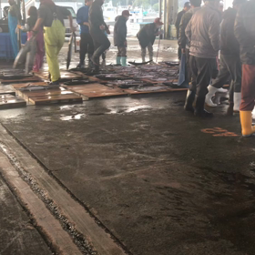 豊浜朝市の様子！鰆や真鯛が多い！の画像