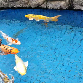 ピエンヌミニミニの手のひらの景色♡シリーズの画像