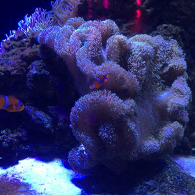 ぷかぷか浮かぶの画像