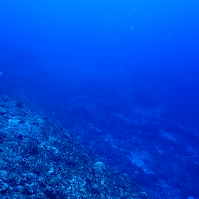 サイパンの海を動画で見て欲しい！の画像