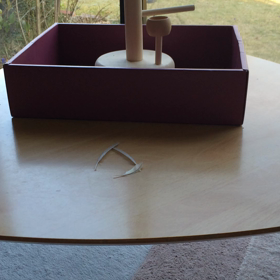 やっと撮れたんですが…>_<の画像