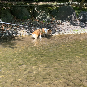 大好きな水遊びの画像