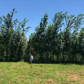 風のおどり #4の画像