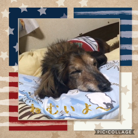 こんな夜中に…の画像