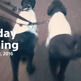 今朝は雨ですが…の画像