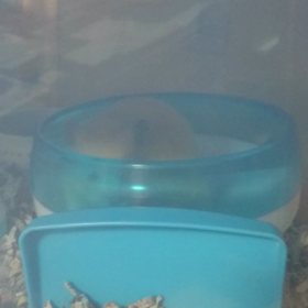 コーヒーカップの画像