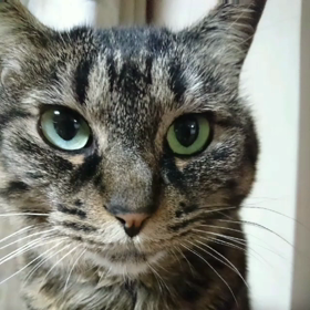 今日も遊んでるの画像