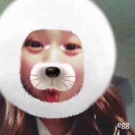 【アザラシかわたしか❗】の画像