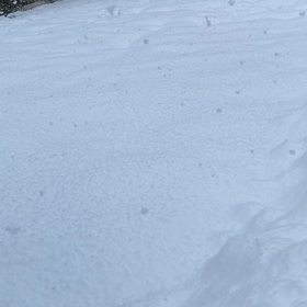 更地になったよーの画像