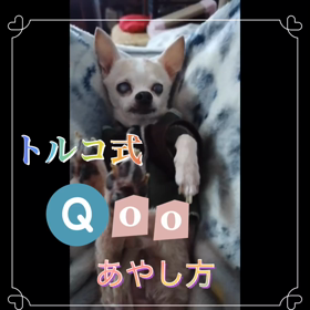 愛犬をあやしてみたの画像