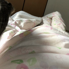 朝から激しいデールちゃん！の画像