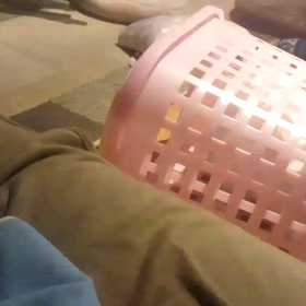 まだまだ気になるの画像