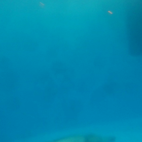 お仕事の裏側の画像