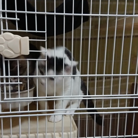 水入れが、、、。の画像