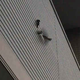 この場所譲らんの画像